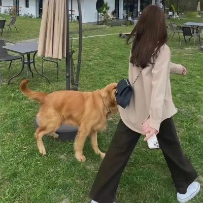 星球大战:抵抗组织第二季